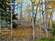 Colorado Elk Hunting - Mtn. Property with Cabin Pad-Camp Site Ready Photo 9