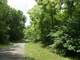 21.174 Acres in Two Wooded Tracts-Secluded-Great Hunting Tracts