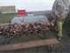 233 Acre Pheasantdeerwaterfowl Paradise Sacred Heart MN