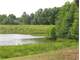 256-Acres-Executive Lakefront Home Retreat in S.C.-Land-Hunting-Fishing