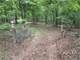 270 Acres Bear Deer Turkey Hogs Coyote Squirrel