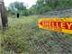 270 Acres Bear Deer Turkey Hogs Coyoters