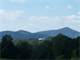 270 Acres Cleveland County NC Excellant Hunting Return From Timber