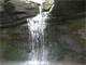 287 Acres Joins Nat Forest 1 Bed Apt. Listed Marvin Shelley Broker