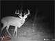 29.461 Secluded Hunting Property with Running Water and Electricity