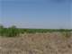 300 Acres Ranch Land or Green Energy Land in Big Spring Texas