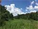 1538- Acres Tensas Parish Louisiana Hunting Land Photo 2
