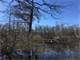 1538- Acres Tensas Parish Louisiana Hunting Land Photo 6