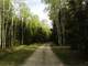 360 Wooded Acres with Rustic Cabin