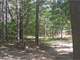 Perfect Hunting Retreat Almost Twenty Wooded Acres Photo 18