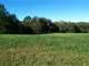 Wonderful Hunting and Fishing Tract in Alleghany County NC Photo 3