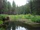 431 Acres Timber Little Klickitat River Runs Thru Sharing