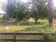 Nice Home ON 5 Acres-Hunting and Horses-Michigan Photo 17