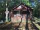 Acres Great Hunting Land with Nice Cabin Photo 1