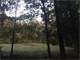 Acres Great Hunting Land with Nice Cabin Photo 9