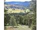 Hunters Paradise 24.91 Acres Creek Views Privacy Close Forest Photo 1