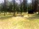 Hunting Retreat with Fourty Wooded Acres Photo 18