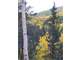 7.07 Acre Hunting-Camping Property 10700 Elevation Southern Colorado