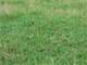 80-Acre Farm -Ranch - Hunting Land TX