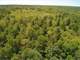 Hunting Parcel in Chippewa County New Auburn Wi. Acres Photo 12