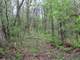 Hunting Land in Crawford County Eastman WI 95.08 Acres Photo 10