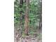 Hunting Land in Crawford County Eastman WI 95.08 Acres Photo 11