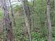 Hunting Land in Crawford County Eastman WI 95.08 Acres Photo 9