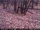 Trophy Hunting Property in Buffalo County WI Photo 17