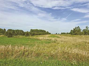 Listing: 9226541, Murdock, IL