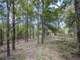 Great Acres Hunting Land Just Off I-45 Photo 14