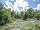 Great Acres Hunting Land Just Off I-45 Photo 15