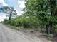 Great Acres Hunting Land Just Off I-45 Photo 7