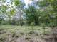 Great Acres Hunting Land Just Off I-45 Photo 8