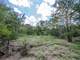 Great Acres Hunting Land Just Off I-45 Photo 9