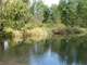 146.5 Acre Hunting Estate Woods River Pond Hillsdale County Reading MI Photo 2