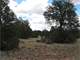 Acres Getaway Hunting Bugout Property Near the Grand Canyon