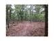 Acres Hunting Land with Bear Deer Turkey Hogs