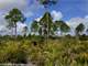 Acres Vacant Land Reduced. Priced Sell