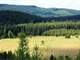 Beautiful Montana Hideaway Hunting Paradise