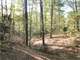 Cozy Log Cabin Hunting Retreat Near Hunting Deer Turkey Goose Duck