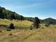Creek Property Bordering Government Land