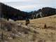 Creek Property Bordering Government Land