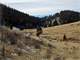 Creek Property Bordering Government Land
