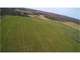 Crop Land with Deer and Turkey Hunting