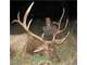 Elk Cabins and Acres in Unit New Mexico