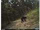 Farm 100 Acres with 2-Dwelling.In Johnson CO the City Paintsville KY