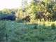 Fayette County Hunting and Recreational Property