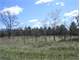 For Sale Buildable Hunting Land