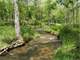 Get This Beautiful 20Acre Land Now in WV