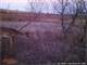 Great Hunting Land with Solid Return ON Investment